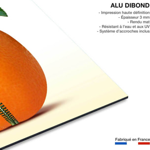 Tableau fruits décoration cuisine Tableau alu Dibond