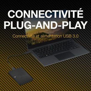 Disque dur externe SEAGATE 2To Expansion Portable Drive