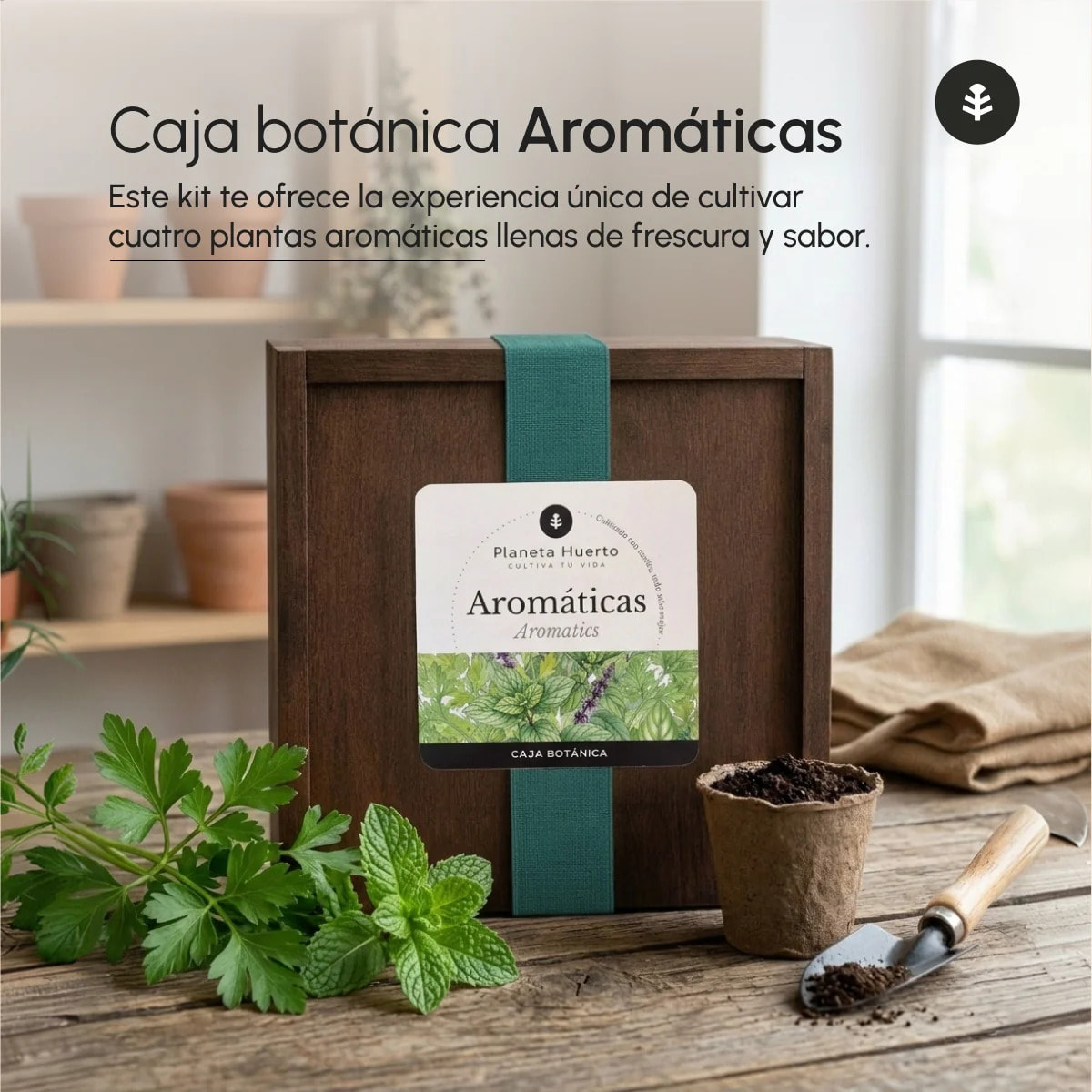Kit de Cultivo de Aromáticas en Caja de Madera – Regalo Original Planeta Huerto