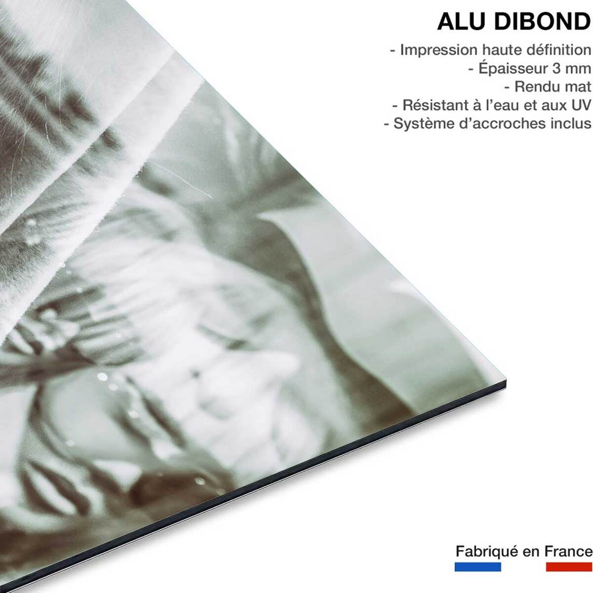 Tableau shooting Tableau photo Tableau alu Dibond