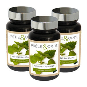 NUTRI EXPERT - Prêle & Ortie - Facilite l'élimination des toxines - Contribue au bon fonctionnement de l'organisme - Vegan - Marque Française - Extraits de plante - Lot de 3 piluliers
