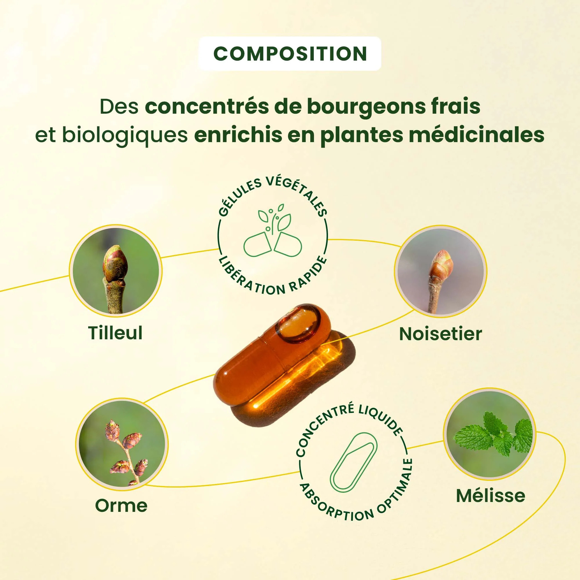 Herbalgem- Complément alimentaire Sommeil - Bio - 30 GELULES