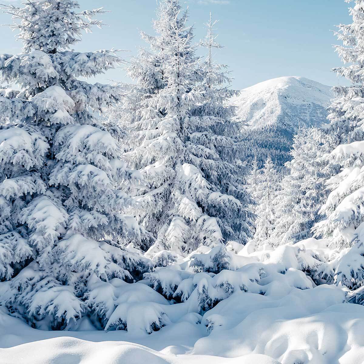 Affiche encadrée Paysage hivernal enneigé Affiche + cadre en métal - Noir