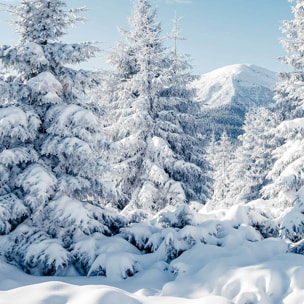 Affiche encadrée Paysage hivernal enneigé Affiche + cadre en métal - Noir