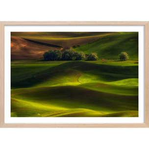 Affiche Colline USA Affiche + cadre en bois - Chêne