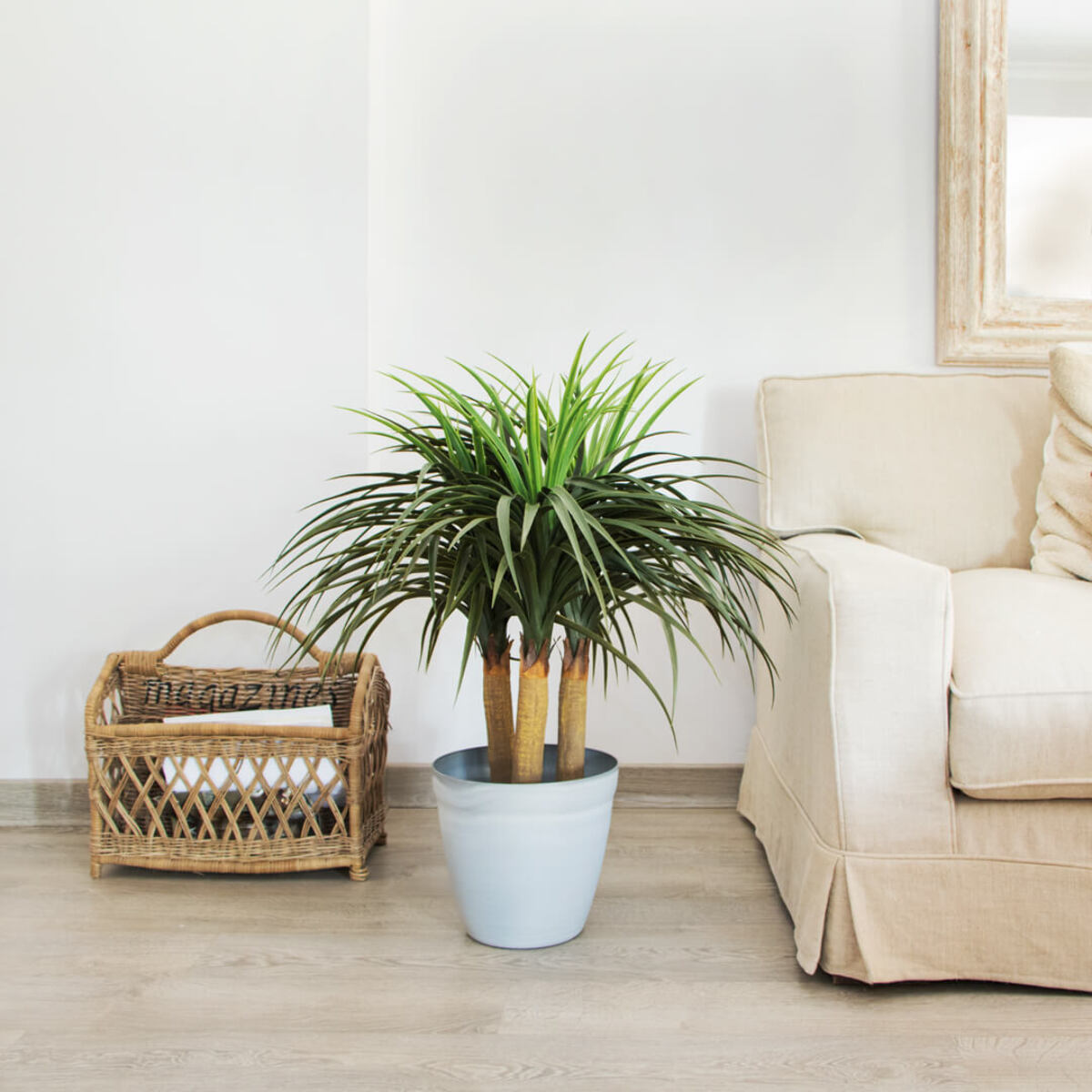 Planta Artificial Nolina Mini 75 Cm