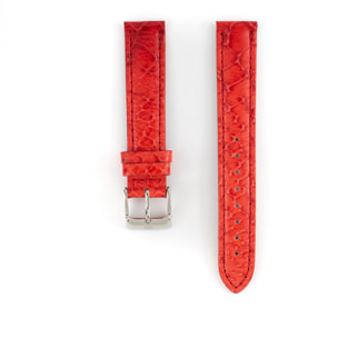 Tommy Hilfiger Correa de Reloj Unisex 679300480