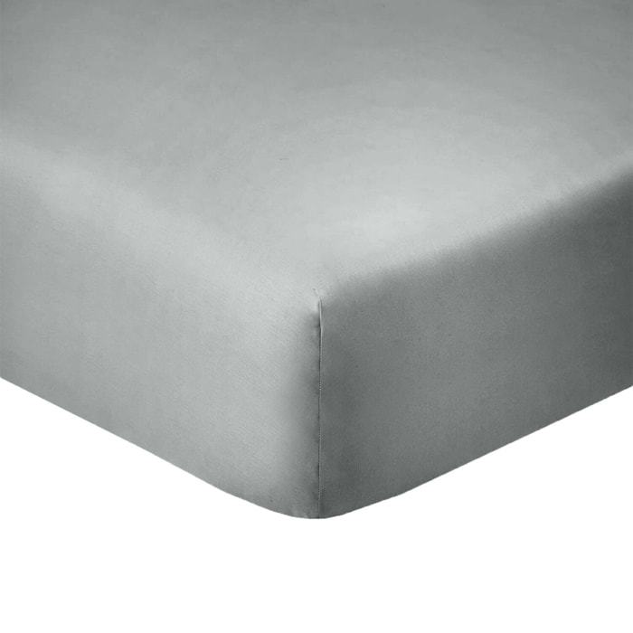 Drap housse uni 100% coton - essentiel - silver