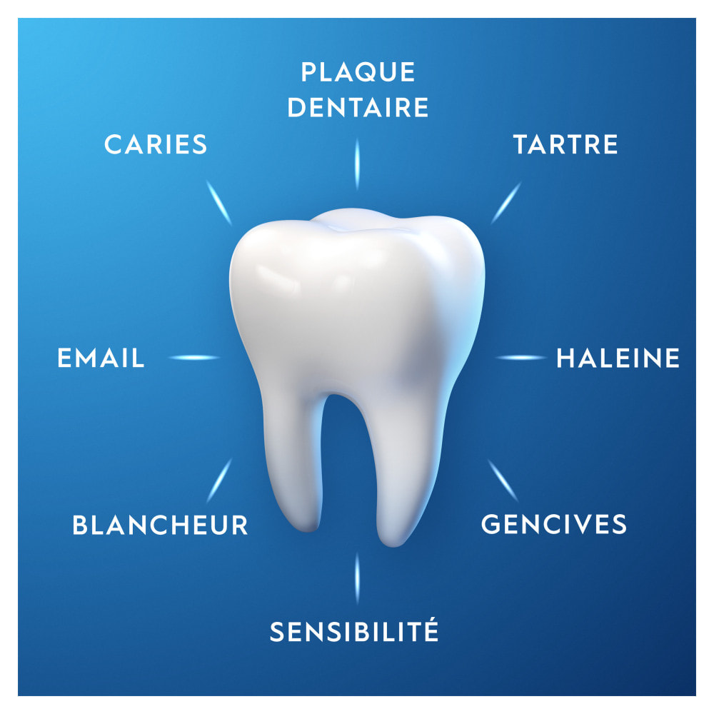 Lot de 4 dentifrices PRO EXPERT - Protection Pro Menthe Extra Fraîche - 75ML