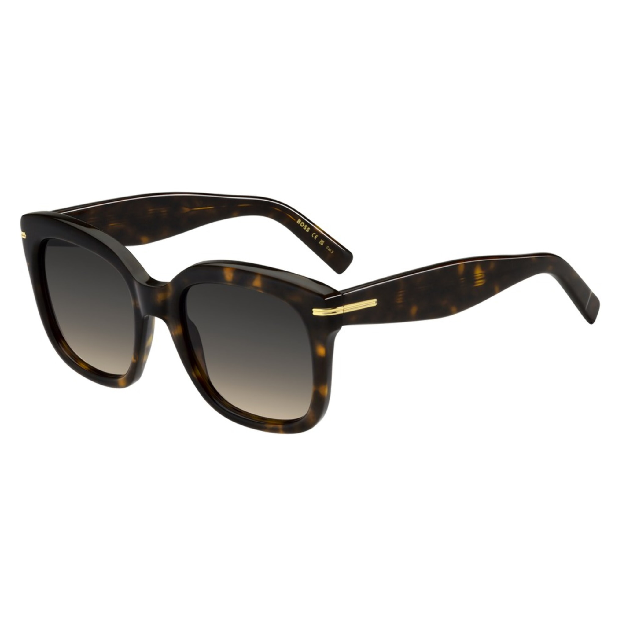 GAFAS DE SOL HUGO BOSS 1731/S 086