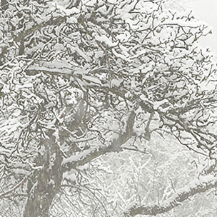 Papier peint panoramique L'hiver arrive  Intissé