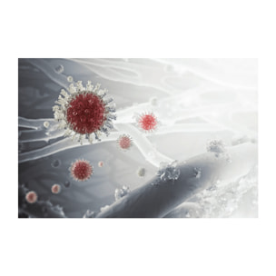 AEG Filtro de protección contra particulas ultrafinas, bacterías y virus para Multi 7000 AFWCLN5