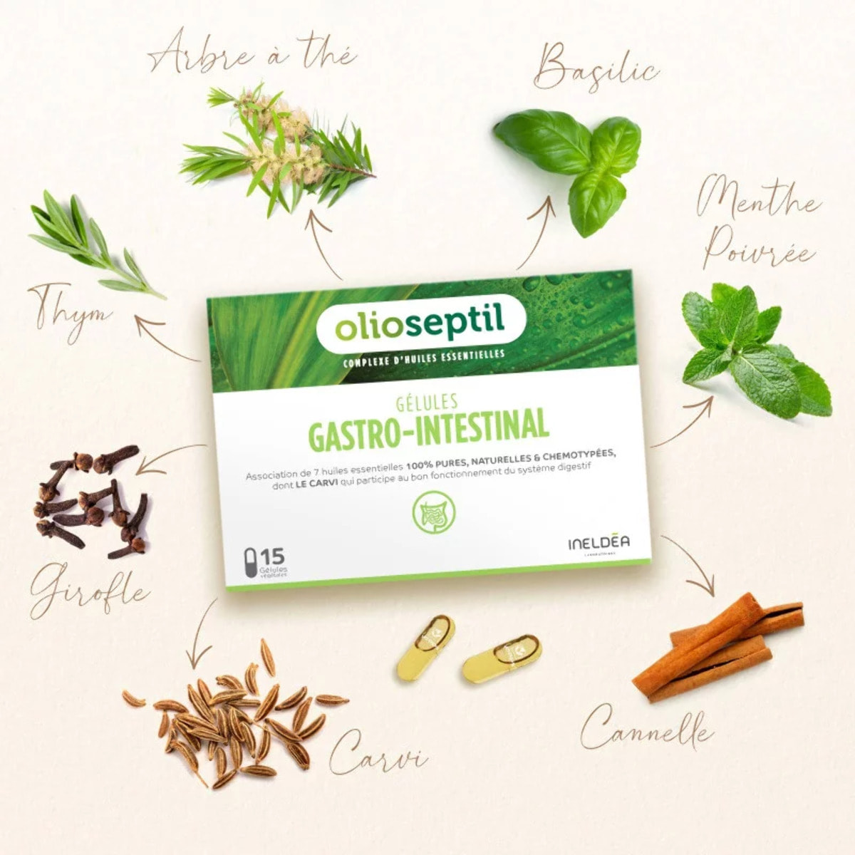 OLIOSEPTIL - Duo Gastro Protect - Gélules Gastro-Intestinal + Gouttes EPP Citrus - Aide à soutenir les défenses naturelles - Participe au bon fonctionnement du système digestif