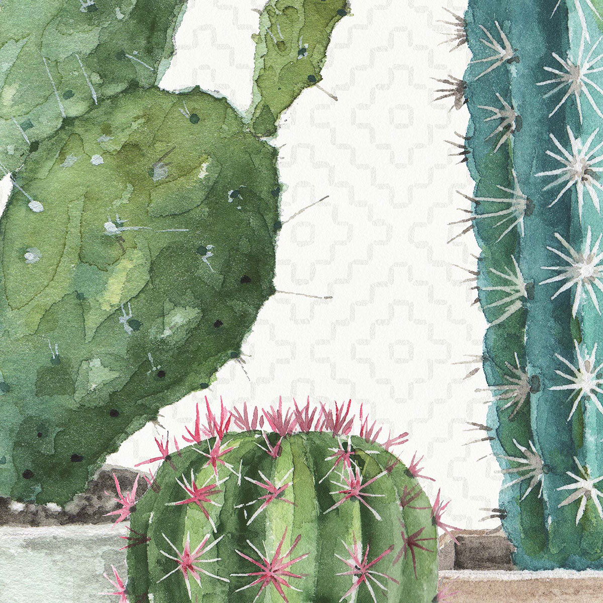 Papier peint exotique cactus fleuris Intissé