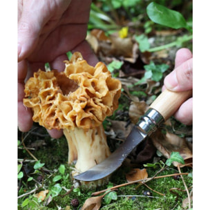 Couteau d'office OPINEL Cuisine Nomade champignon