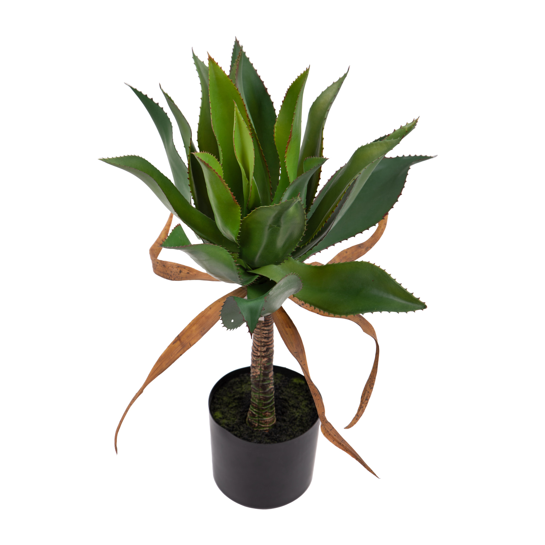 Agave 71 Cm Con Vaso - Pezzi 1 - 40X71X40cm - Colore: Verde - Bianchi Dino - Piante Artificiali