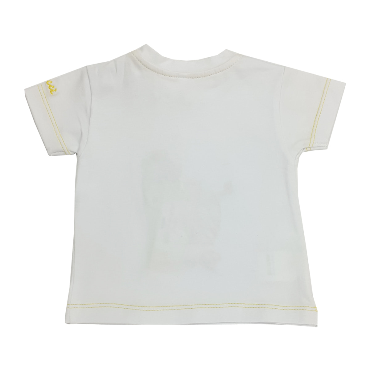 T-SHIRT M/C JERSEY ZEBRA CURIOSA