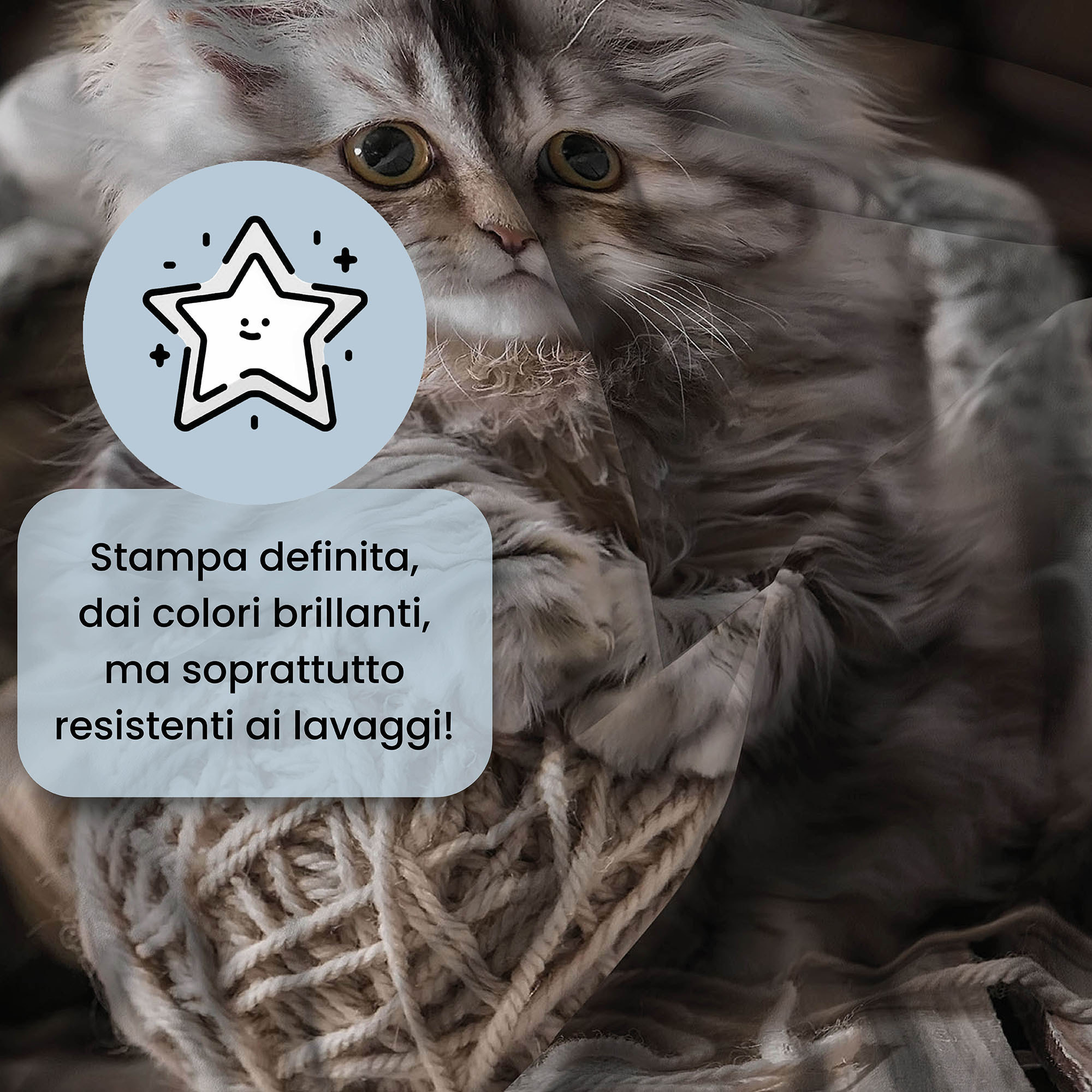 PARURE COPRIPIUMINO GOODNIGHT MATRIMONIALE - STAMPA DIGITALE 100% Microfibra