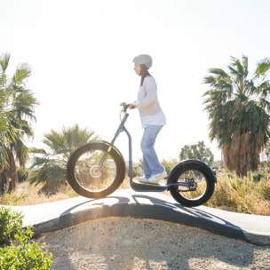 Bicinete Fat Homologado. 1300 W, Autonomía hasta 60 km, Ruedas de 20 y 26'', Dob