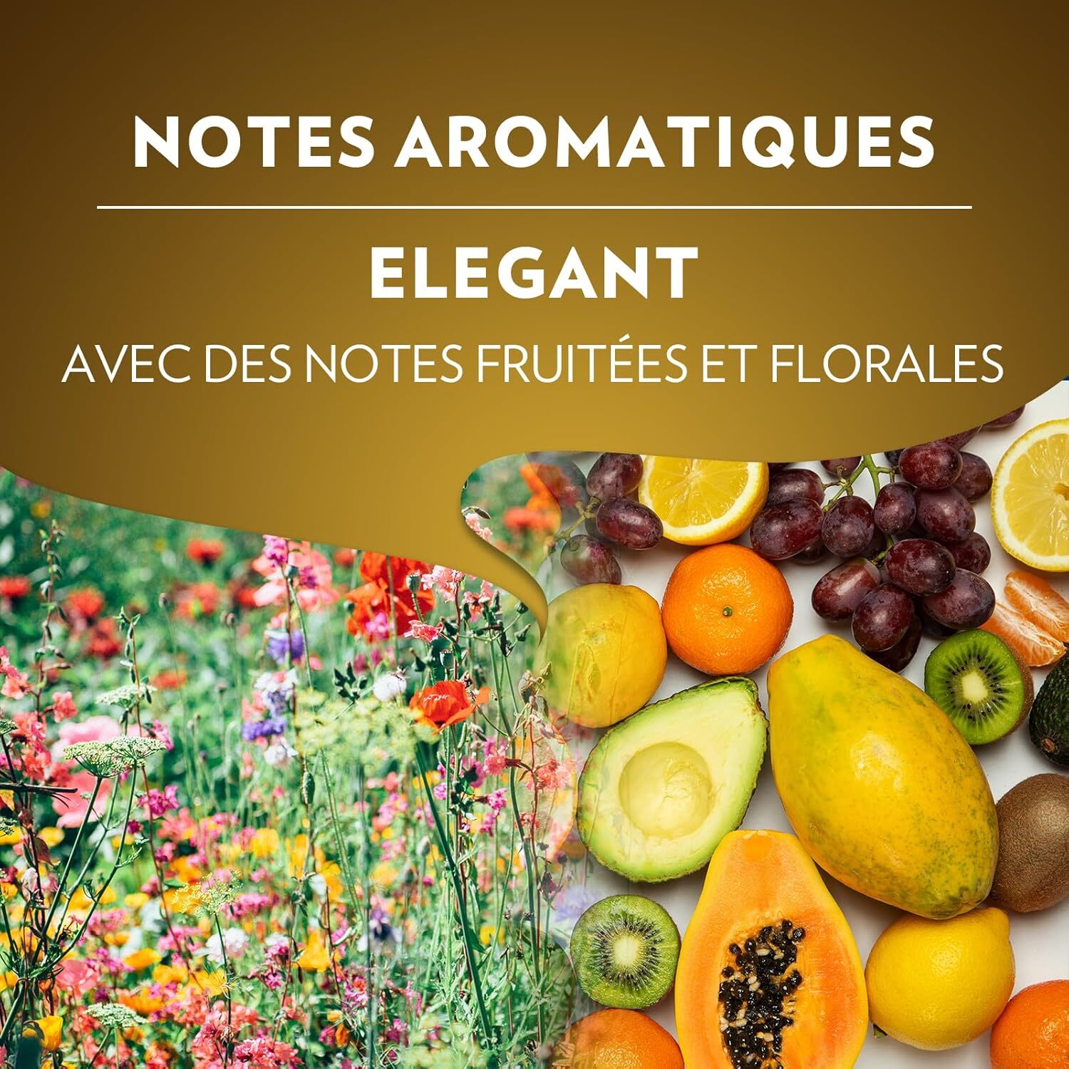 Qualita Oro x10.  Capsules compatibles Nespresso en aluminium