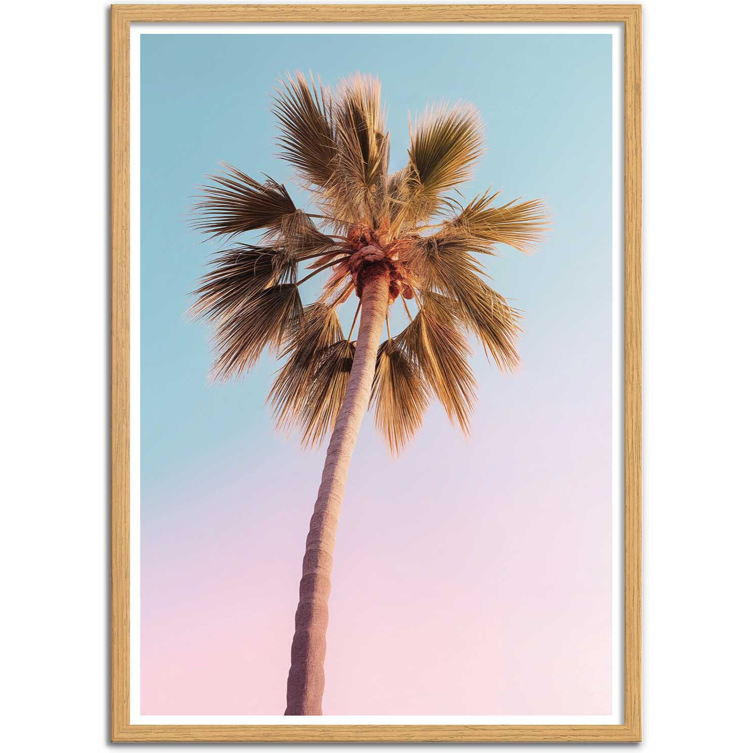 Affiche - Hollywood Palm - Philippe Hugonnard