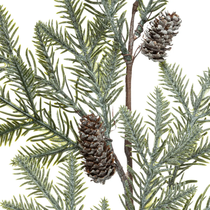 Branche sapin pdp H70