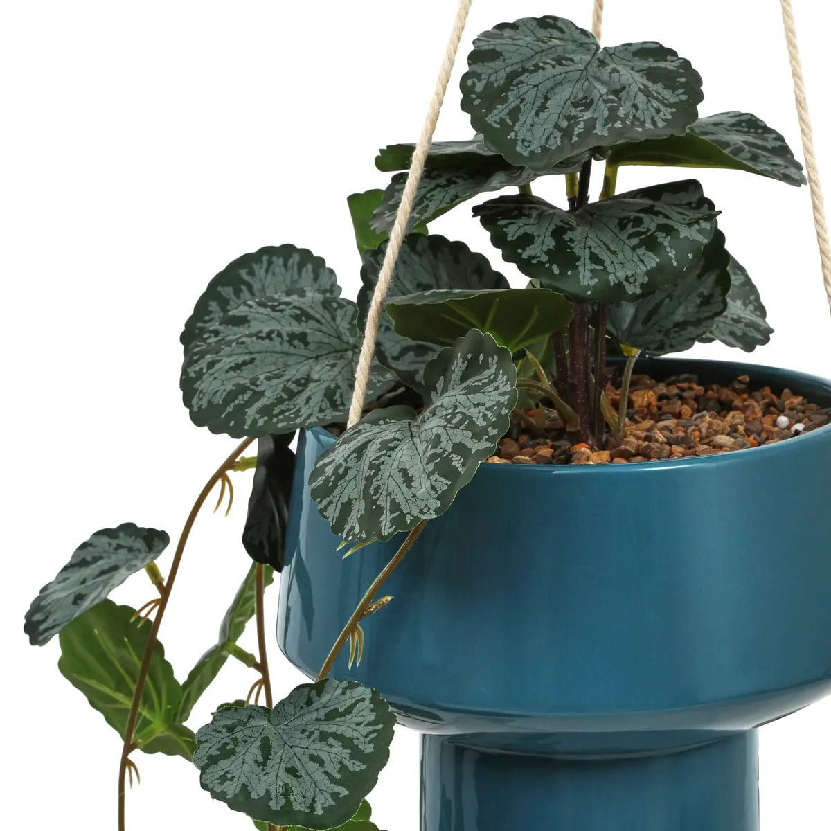Plante suspendue Homy H.80cm