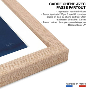 Affiche Duo fougères bleues Affiche + cadre en bois - Chêne
