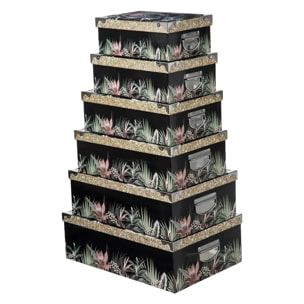 6 Boites Coins en Métal  Lady Jungle