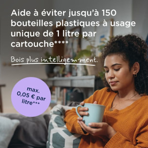 Cartouche filtrante BRITA pack de 2 cartouches Maxtra Pro Expert anti-tartre