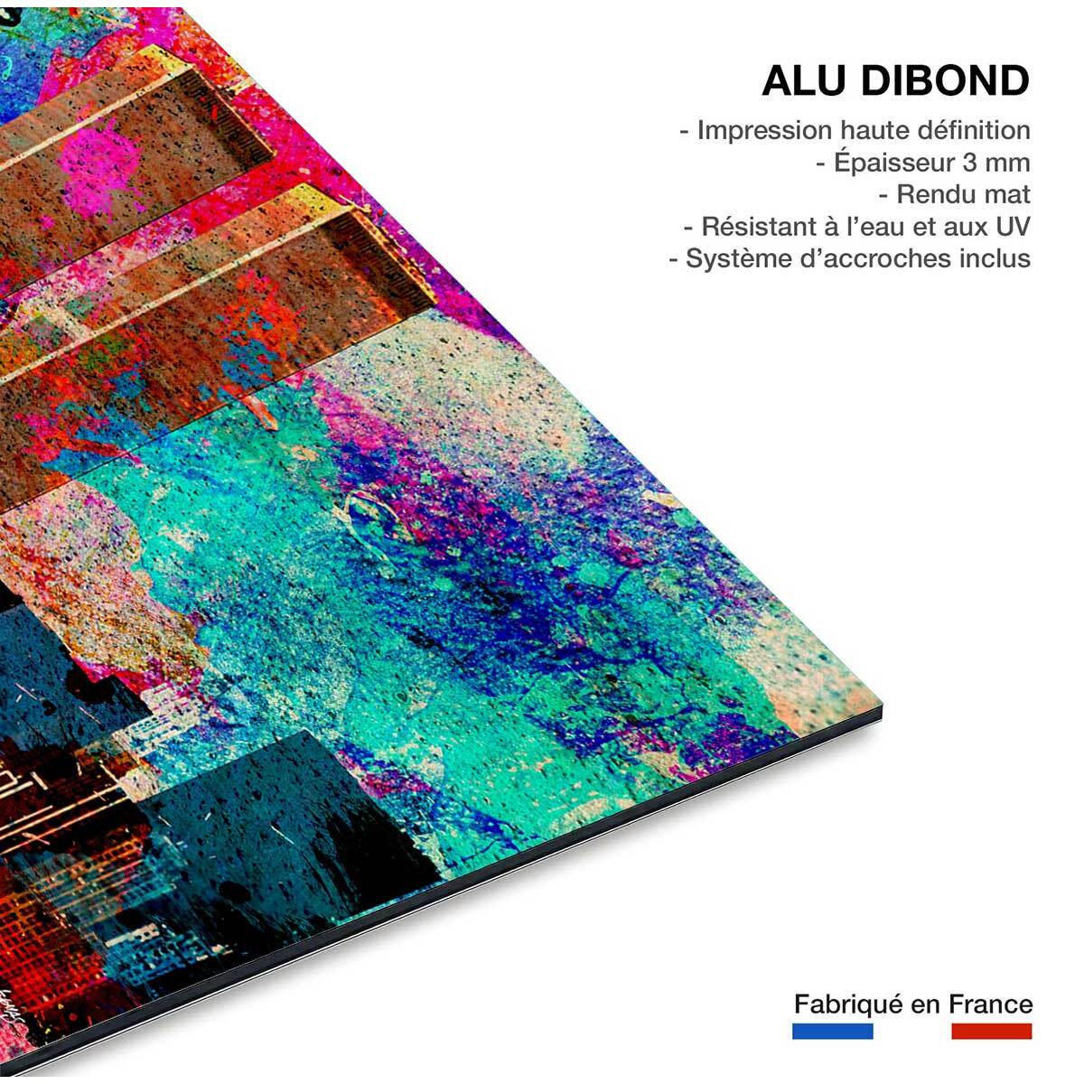 Tableau Affiche illustration graffiti new york Tableau alu Dibond