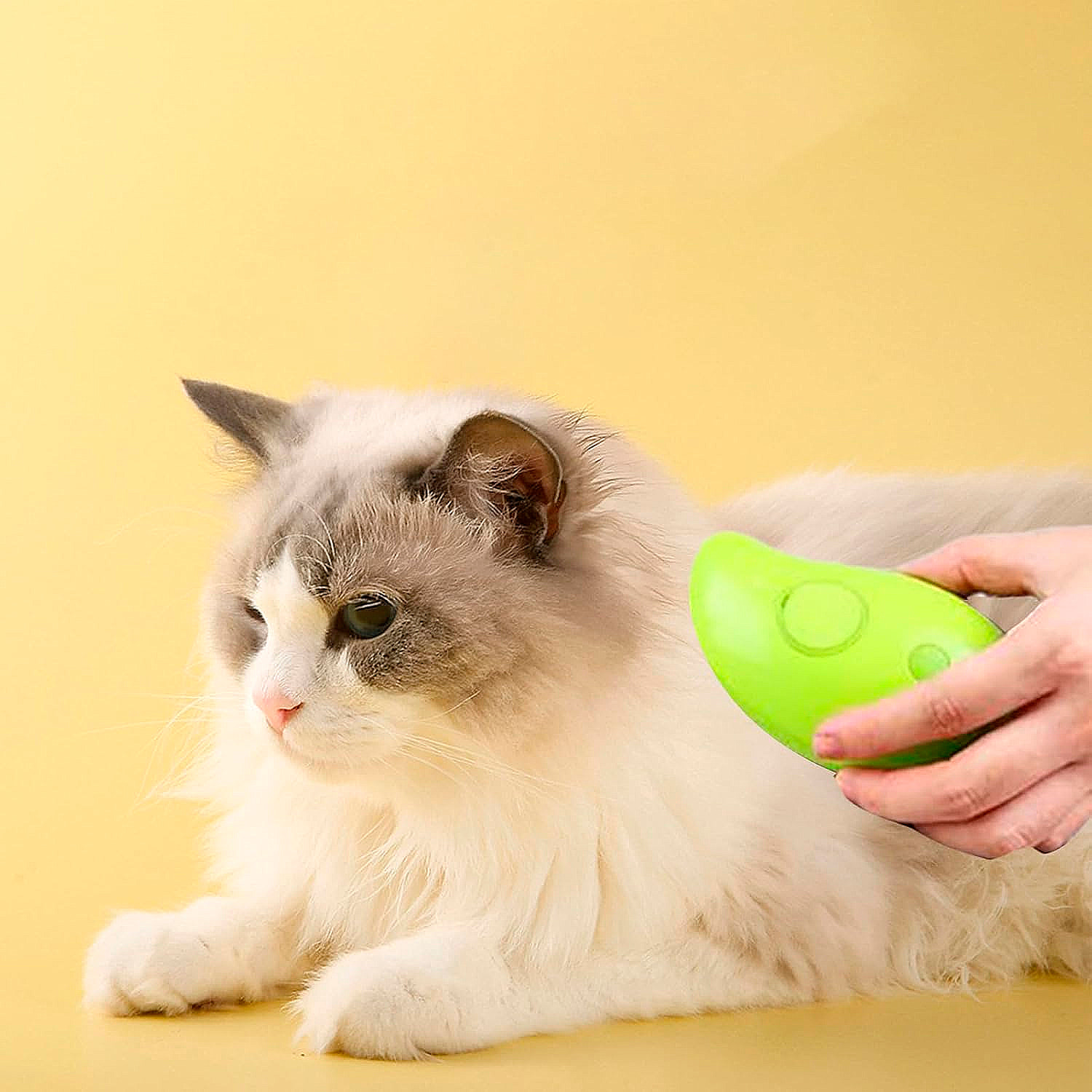 Spazzola a vapore per animali domestici con denti in silicone, serbatoio per acqua e essenze di 20ml.