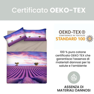 INTRECCI Set Lenzuola Matrimoniali in Cotone, Stampa Alta Qualità, Lenzuolo Sotto + Lenzuolo Sopra + 2 Federe, Comfort, Morbidezza, per Pelli Sensibili, non Stringe in Lavatrice. Fantasia: Provence