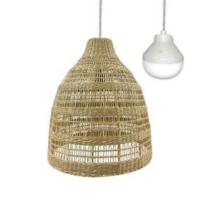 Suspension sans fil FREYA LONG RGB D50CM