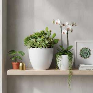 Set 2 cachepot - 30,5xH26x30,5cm - Pezzi 1 - Bianchi Dino SpA