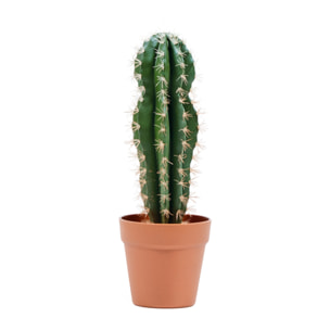 Cactus Artificial Stetsonia Coryne 43 Cm