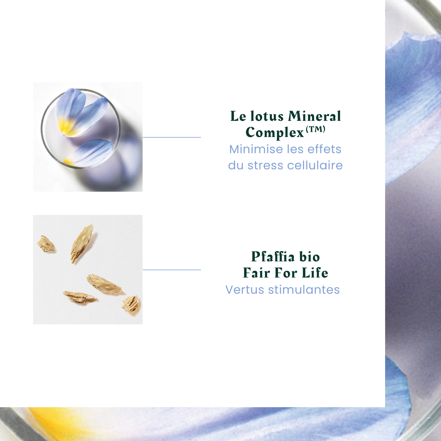 Triphasic Reactional  - Rituel Anti-Chute - Coffret 12 Ampoules