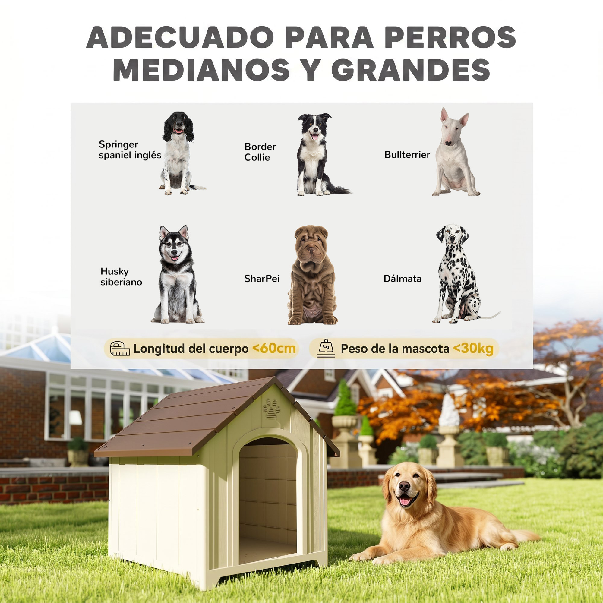 Caseta para Perros Exterior, Casa para Perros Grandes de Plástico Impermeable con 2 Ventanas, Base Elevada, Estacas, Fácil de Montar, 88x79x89 cm, Beige