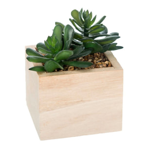 Chic planta de madera verde h14