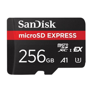 Carte Micro SD SANDISK 256Go Express
