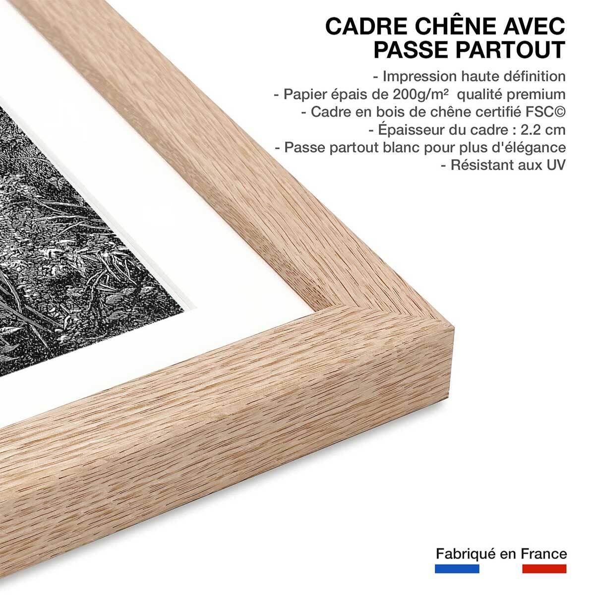 Affiche paysage jungle indienne Affiche sous cadre bois