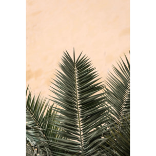 Tableau sandy palme Tableau alu Dibond