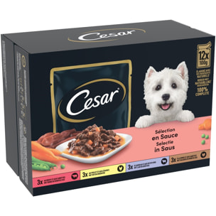 CESAR 72 Sachets fraîcheur en sauce 4 variétés pour chien 100g (6x12)