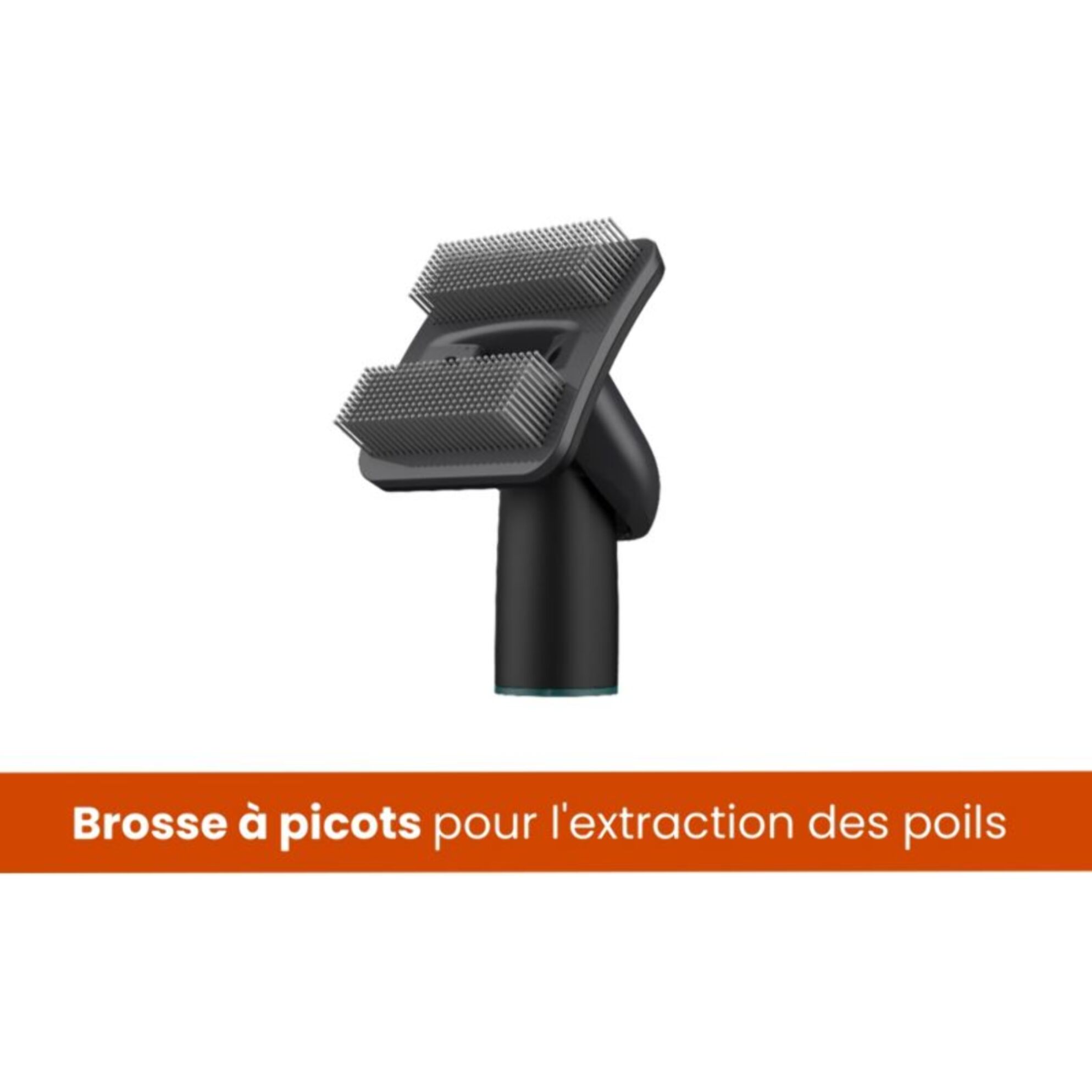 Accessoire toilettage ESSENTIELB compatible aspirateur balai