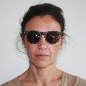 Gafas de sol PALO ALTO NEWPORT - Marrón transparente mate / Ahumada