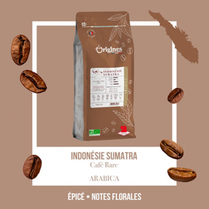 Café Rare Bio - Indonésie Sumatra - Grain 1kg