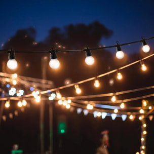 Guirlande connectable PARTY 20 LED 8.7M