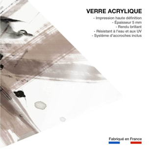 Tableau contemporain Etoile sauvage Tableau plexiglas