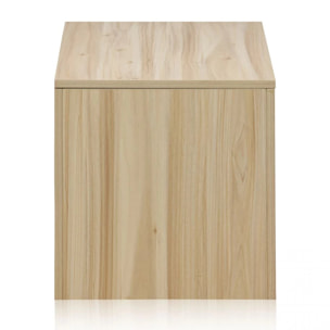 Baúl Made Pino - Rattan