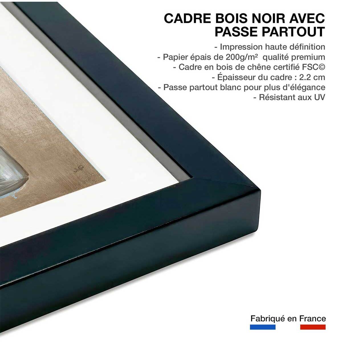Poster Fleurs médicinales Affiche sous cadre noir